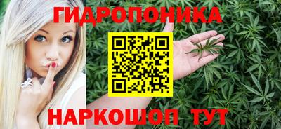 a pvp Аргун