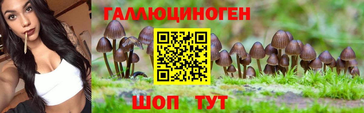 Галлюциногенные грибы MAGIC MUSHROOMS  цены   Архангельск  Вход с VPN 