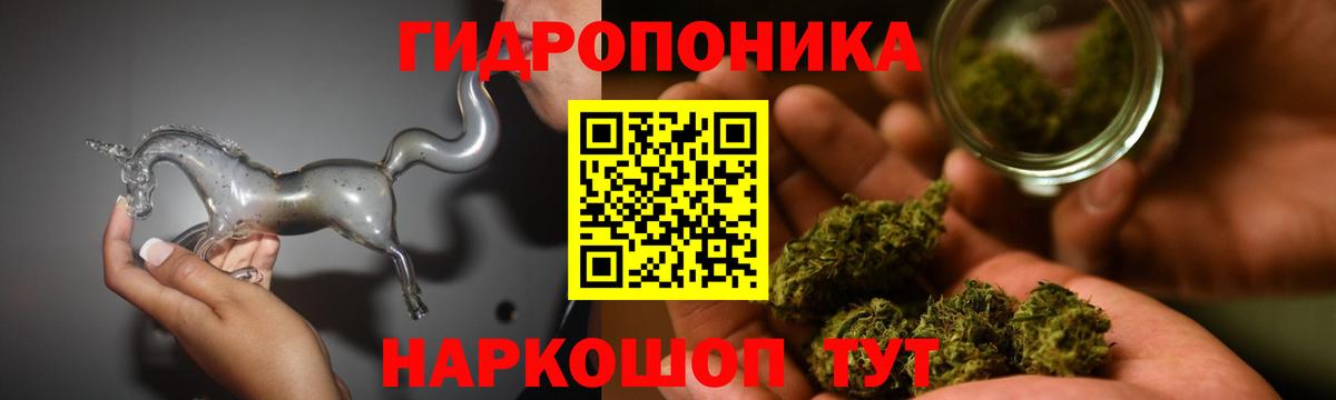 Бошки Шишки конопля Архангельск